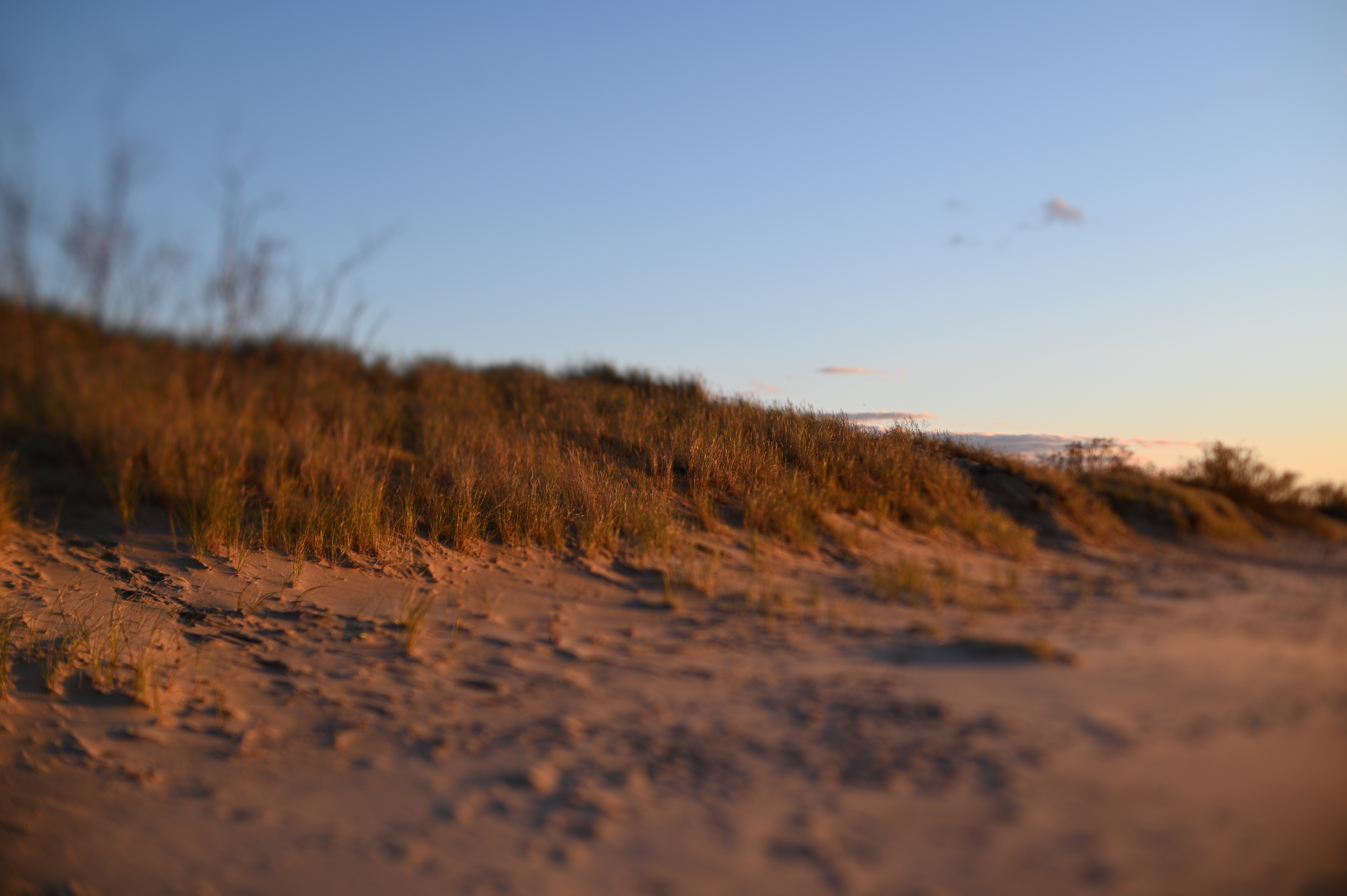 2025/10/18 - walk/DSC_0358.JPG